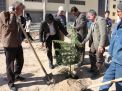 گزارش تصویری مراسم روز درخت کاری و تقدیر از نیروهای باغبانی دانشگاه
